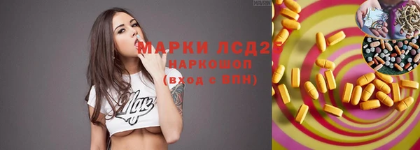 ГАЛЛЮЦИНОГЕННЫЕ ГРИБЫ Навашино
