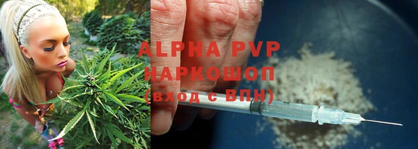 ГАЛЛЮЦИНОГЕННЫЕ ГРИБЫ Навашино