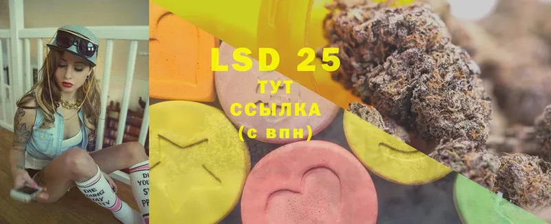 кракен зеркало  Кингисепп  Лсд 25 экстази ecstasy 