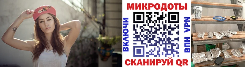 Псилоцибиновые грибы мухоморы Кингисепп