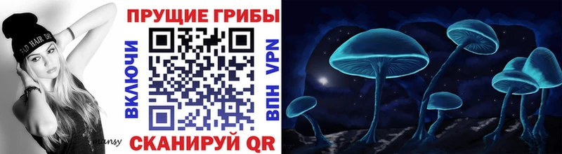 даркнет сайт  Кингисепп  Псилоцибиновые грибы ЛСД 