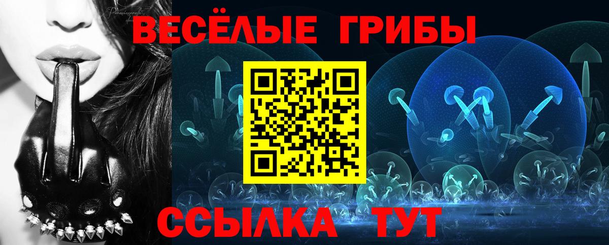 Галлюциногенные грибы Magic Shrooms  Галлюциногенные грибы Psilocybe  Вход с VPN  Кингисепп 